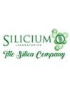 Silicium